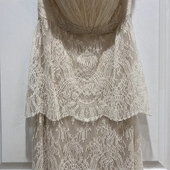 Custome 1 of 1 dress - Picture 3 of 4